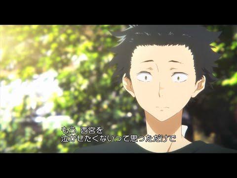 PV long captioned version